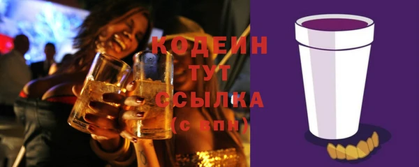 молекула духа Киренск