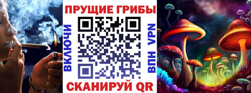 shop наркотические препараты  omg онион  Брянск  дарнет шоп  Галлюциногенные грибы Psilocybine cubensis 