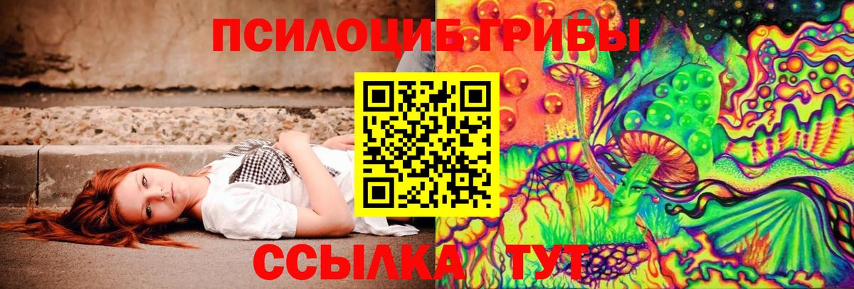 Псилоцибиновые грибы MAGIC MUSHROOMS  где купить наркоту  Брянск  Вход с VPN 