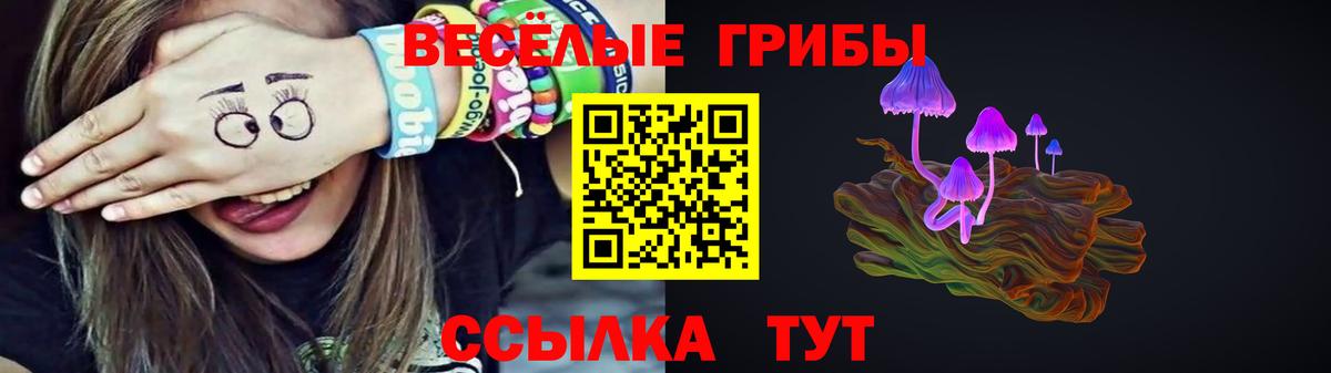 Галлюциногенные грибы ЛСД Брянск